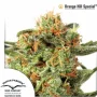 Насіння конопель Orange Hill Special® від Dutch Passion